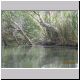 Ord River Cruise Crocodile (2).jpg